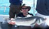 Bass fishing no 15