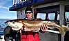 pollack fishing no 14
