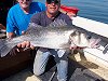bass fishing no 5
