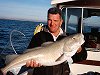 cod fishing no 2