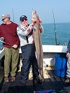 conger fishing no 1