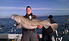 cod fishing no 15