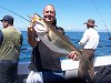 pollack fishing no 5