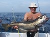 pollack fishing no 7