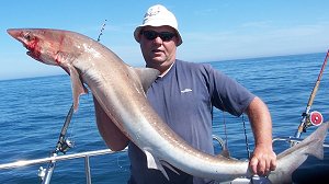 sea fishing in Poole - tope