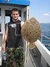 brill - turbot fishing no 8