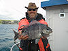 bream fishing no 8