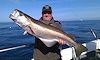 pollack fishing no 13