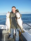 pollack fishing no 8