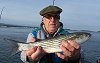 miscellaneousfish fishing no 11