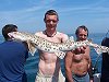 tope fishing no 5