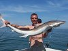tope fishing no 6